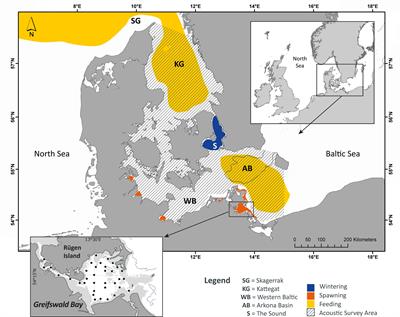 Reduced Reproductive Success of Western Baltic Herring (Clupea harengus) as a Response to Warming Winters